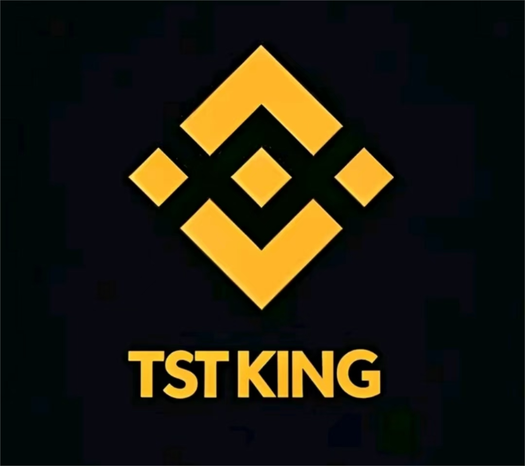 TSTKING Logo